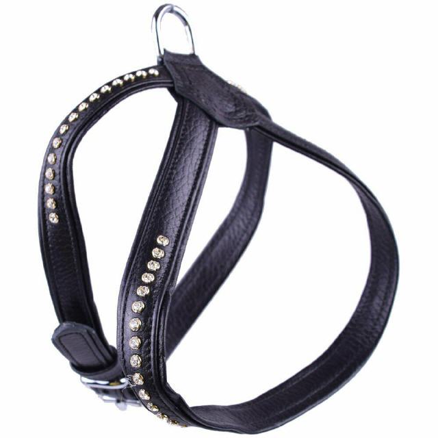 Luxury Leather Dog Harnesses