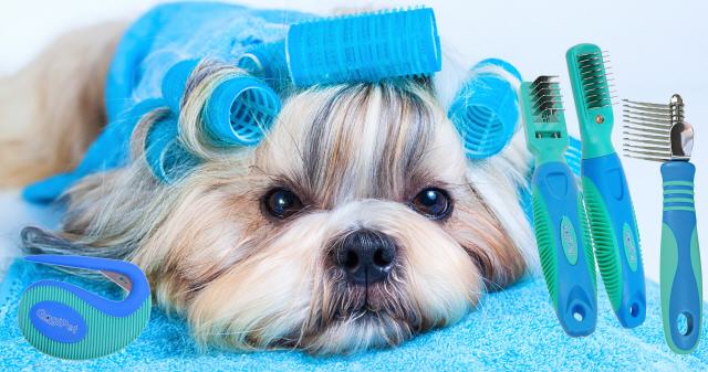 Dematting comb for shih tzu deals