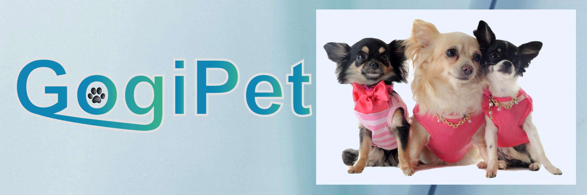 Dog clothing for every season