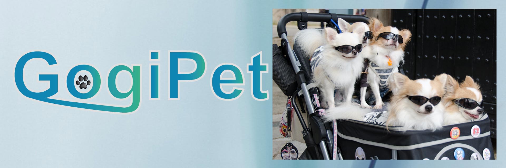 Prams for dogs