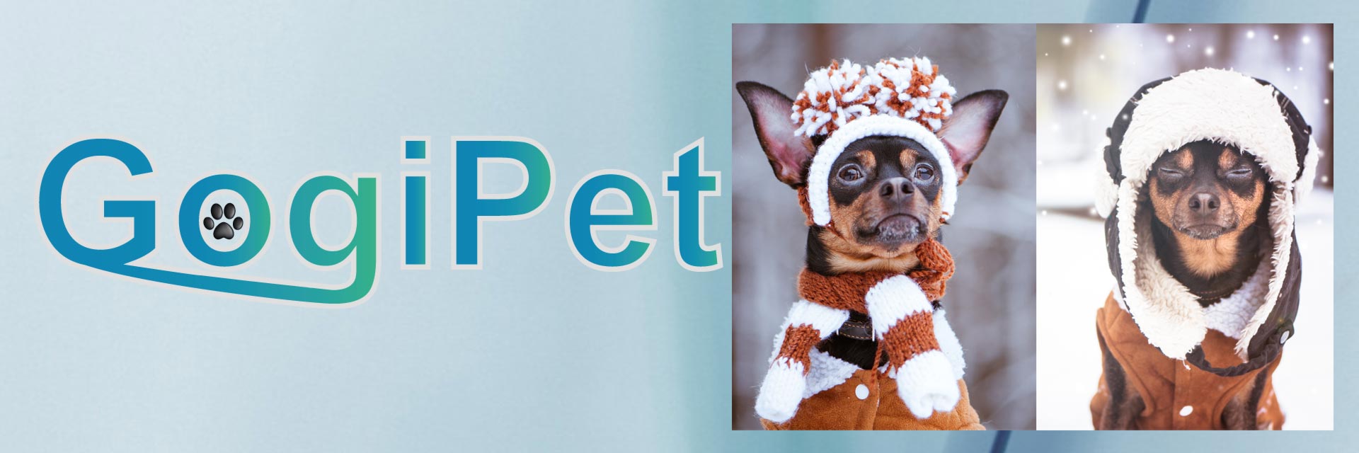 Winter clothing, the warm dog clothing for small dogs