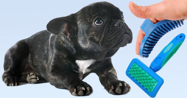 GogiPet Pet Rubber Brushes