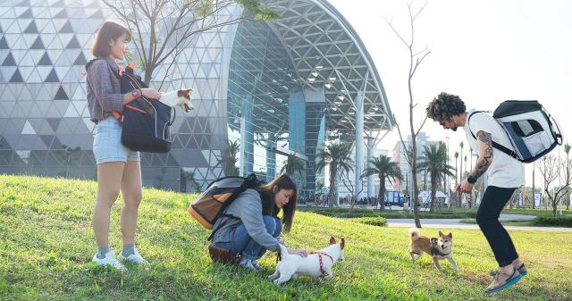 Backpacks for dogs