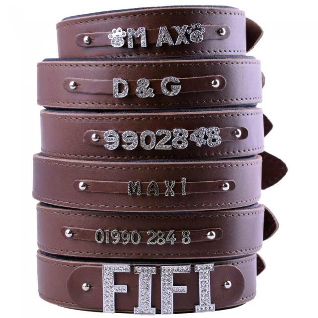 GogiPet Name Collars